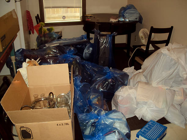 Best Same-Day Junk Removal  in Almont, MI